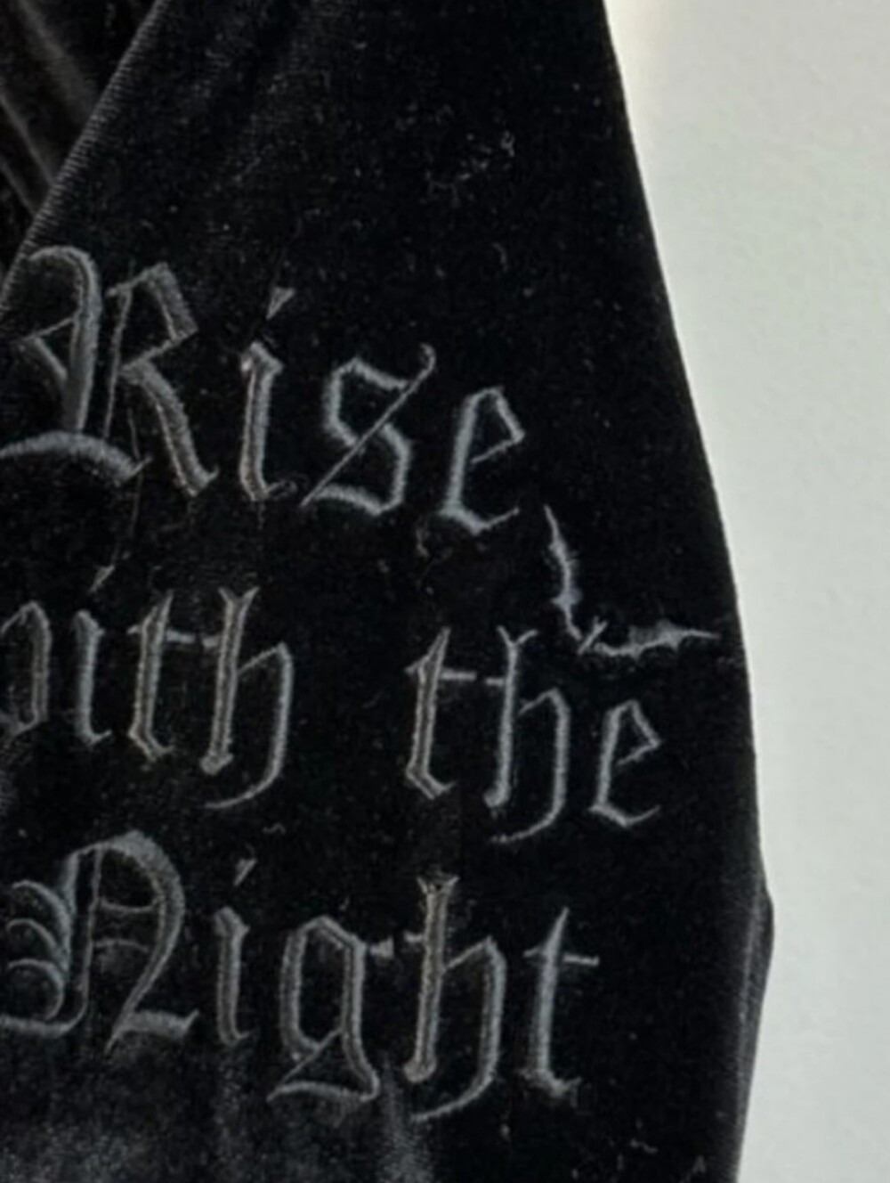 Black All Bats Are Off Velvet Dress - Picture 4 of 6